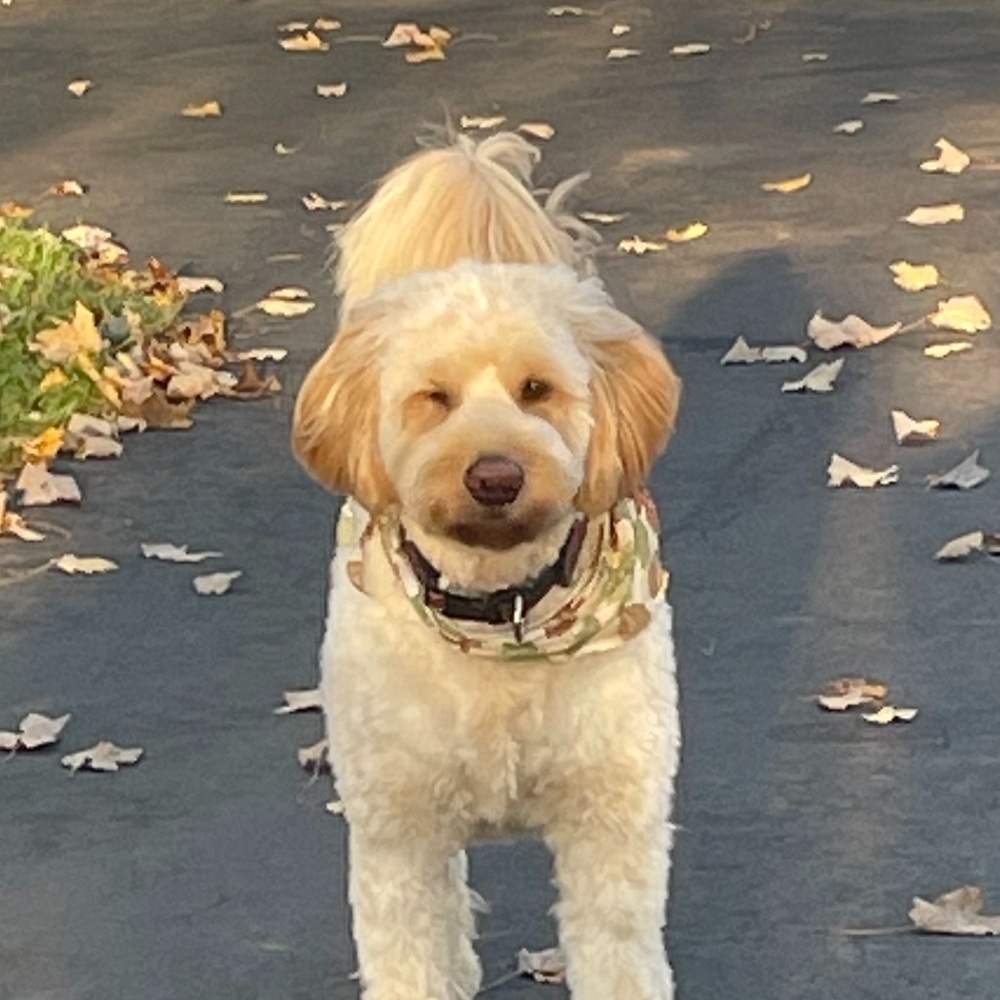 Meet your Posher, Georgia